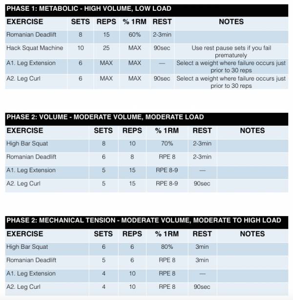 Phases of training chart.